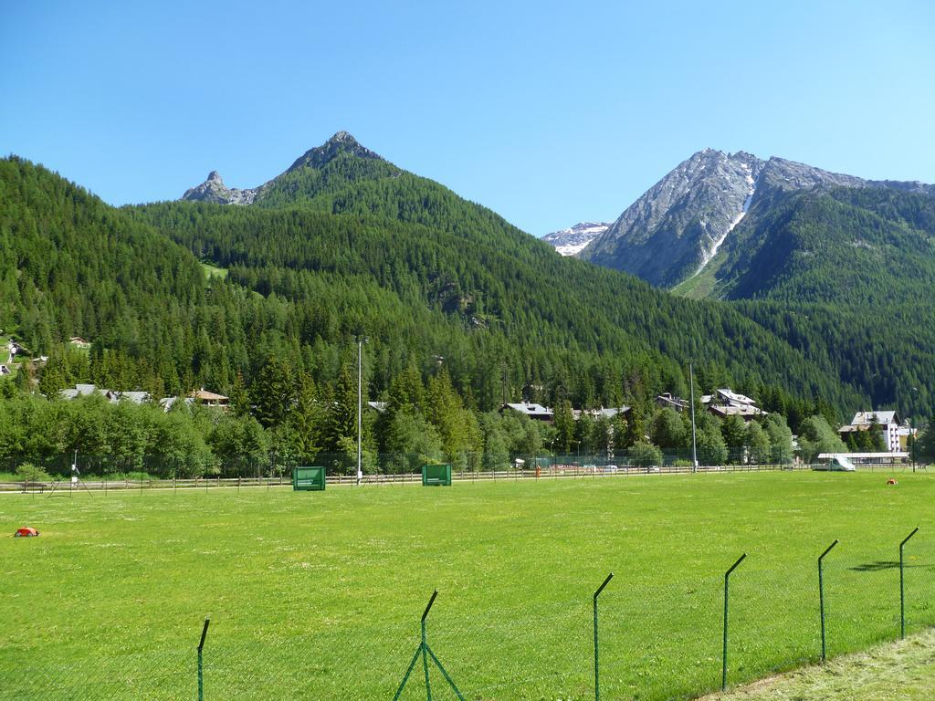 L'Aiglon 3*冠军